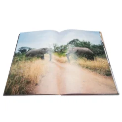 "Prince Street" Photo Book - Multi 7 "Prince Street" Photo Book - Multi -Urban Fashion Sales Fucking Awesome x Jason Dill Photo Book Multi FAXJASONDILL 05 03 22 Feature 2