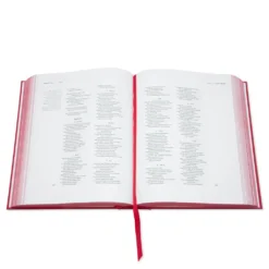 Bible : Hand Lettering By Haze -Urban Fashion Sales GPC Bible Hand Lettering by Haze GPC 001 04 28 2021 01 5