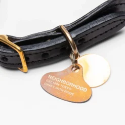 Found My Animal / CL-Collar - Black -Urban Fashion Sales Neighborhood Found My Animal CL Collar Black 22108ZFN AC01 BLK 09 08 22 Feature VR 5