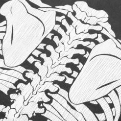 Saint Michael X Vlone Bone Hoodie - Black -Urban Fashion Sales Saint Michael x Vlone Bone Hoodie Black SM A22 0000 080 05 31 23 Feature KN 6