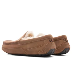 Ugg Ascot Slipper - Chestnut -Urban Fashion Sales UGG Ascot Slipper Chestnut 1101110 CHE 10 30 2021 01 3