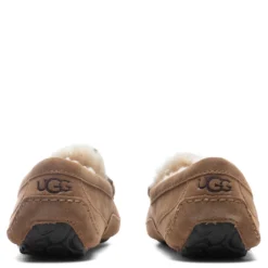 Ugg Ascot Slipper - Chestnut -Urban Fashion Sales UGG Ascot Slipper Chestnut 1101110 CHE 10 30 2021 01 4