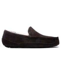 Ugg Ascot Slipper - Espresso